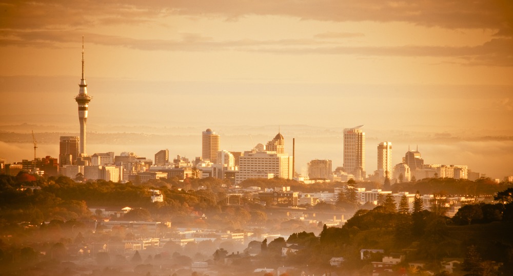 Auckland City from One Tree Hill, early morning.